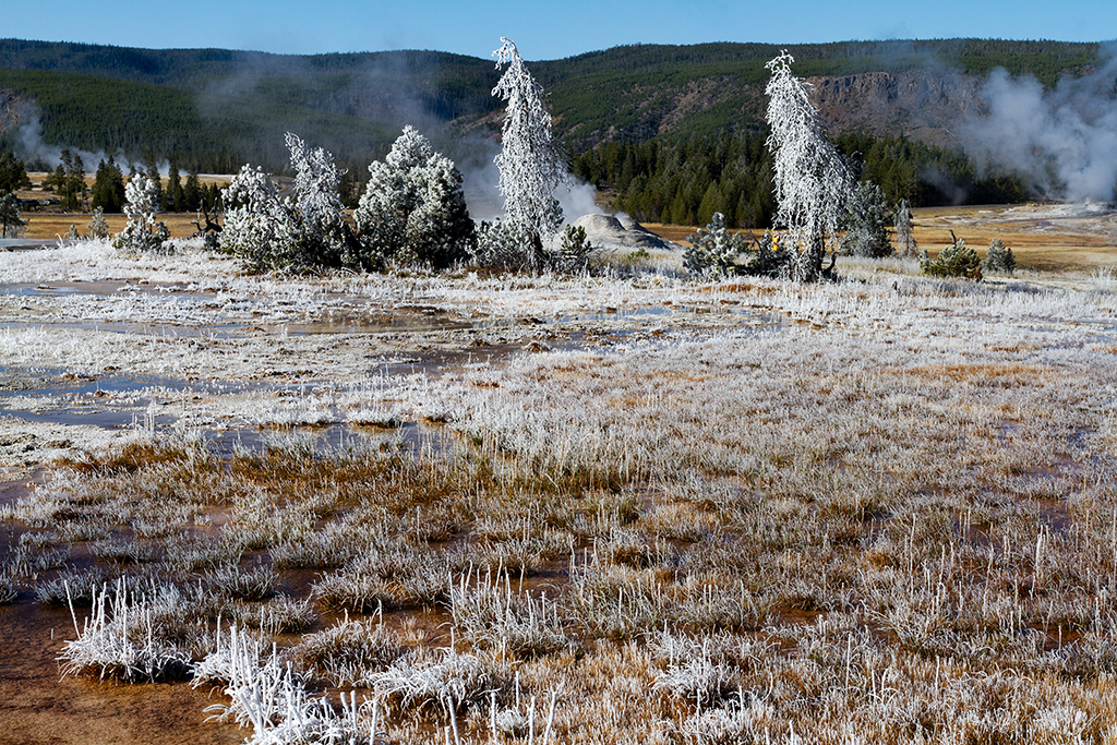 10-06 - 03.jpg - Yellowstone National Park, WY